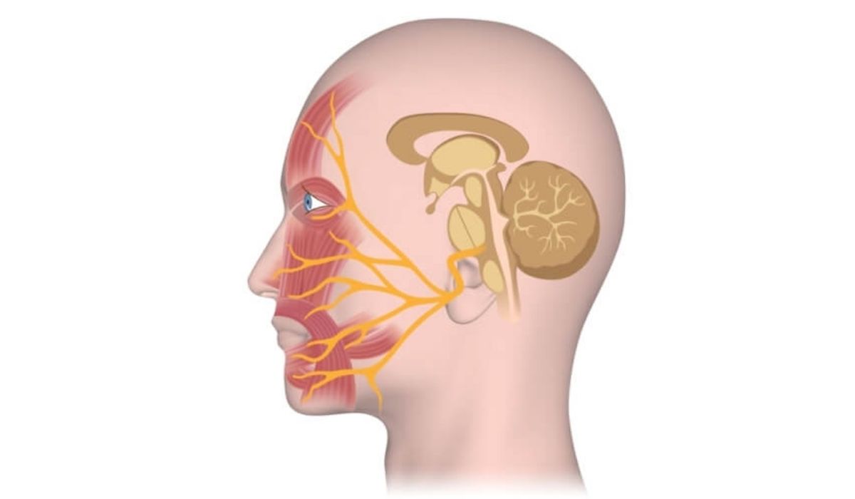 مركز عامر هو وجهة متخصصة لعلاج شلل الوجه والعصب السابع