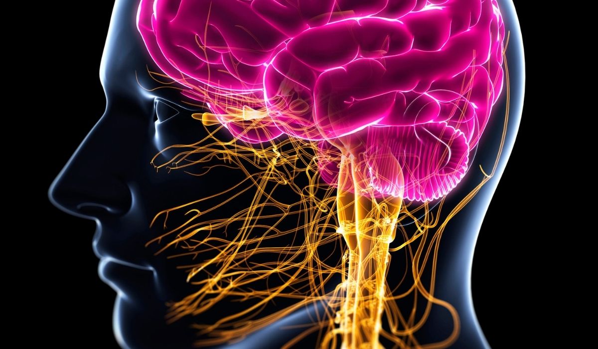 Dr. Tarek Amer – Expert in Facial Nerve Surgery